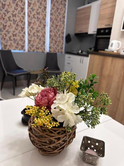 Appartamento Centre Stylish With Private Backyard Sofia